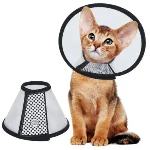 E – Collar